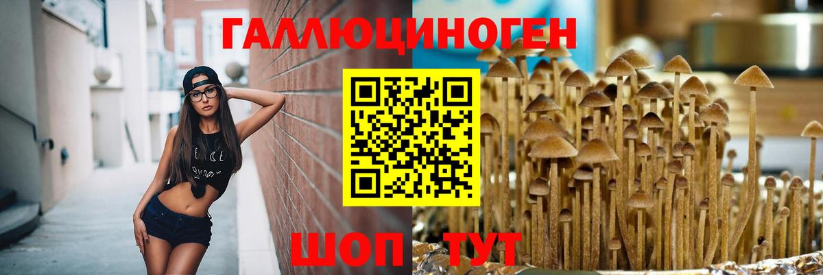 Химки  Галлюциногенные грибы Magic Shrooms  Вход с VPN 